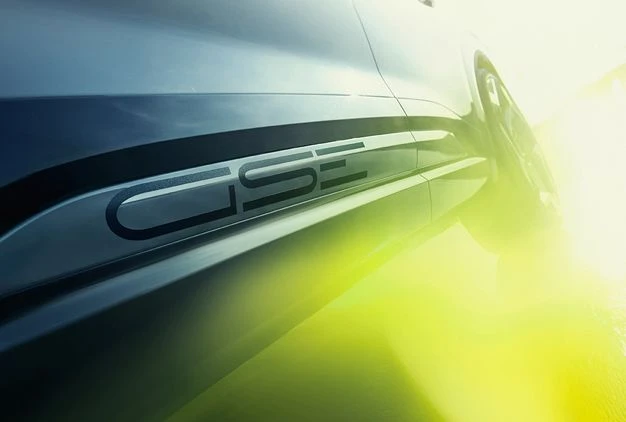 Rally-inspired performance